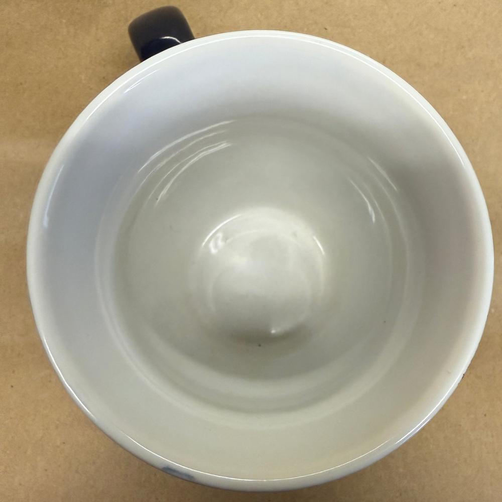 Boelter Brothers Minnesota Twins Embossed Mug-2015